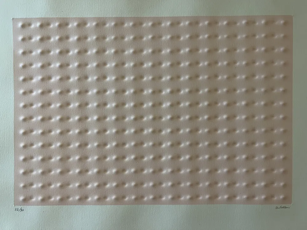 多数の Castellani - RILIEVO ROSA