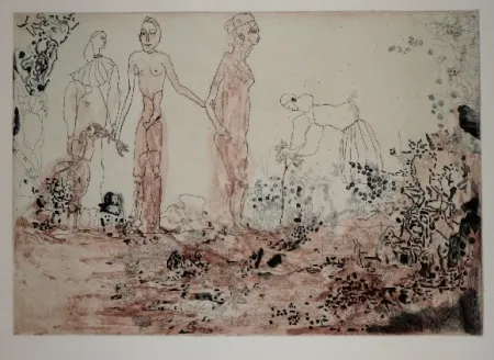 エッチングと　アクチアント Castillo - Agua amarga