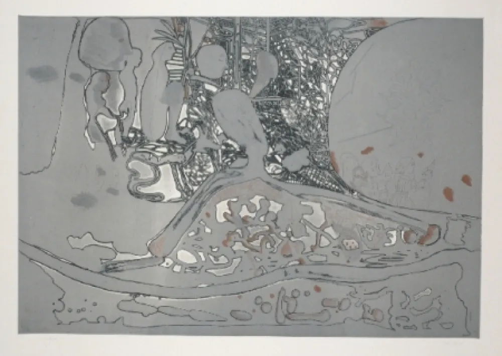 エッチングと　アクチアント Castillo - Jardin de invierno 2