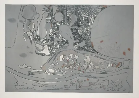 エッチングと　アクチアント Castillo - Jardin de invierno 2