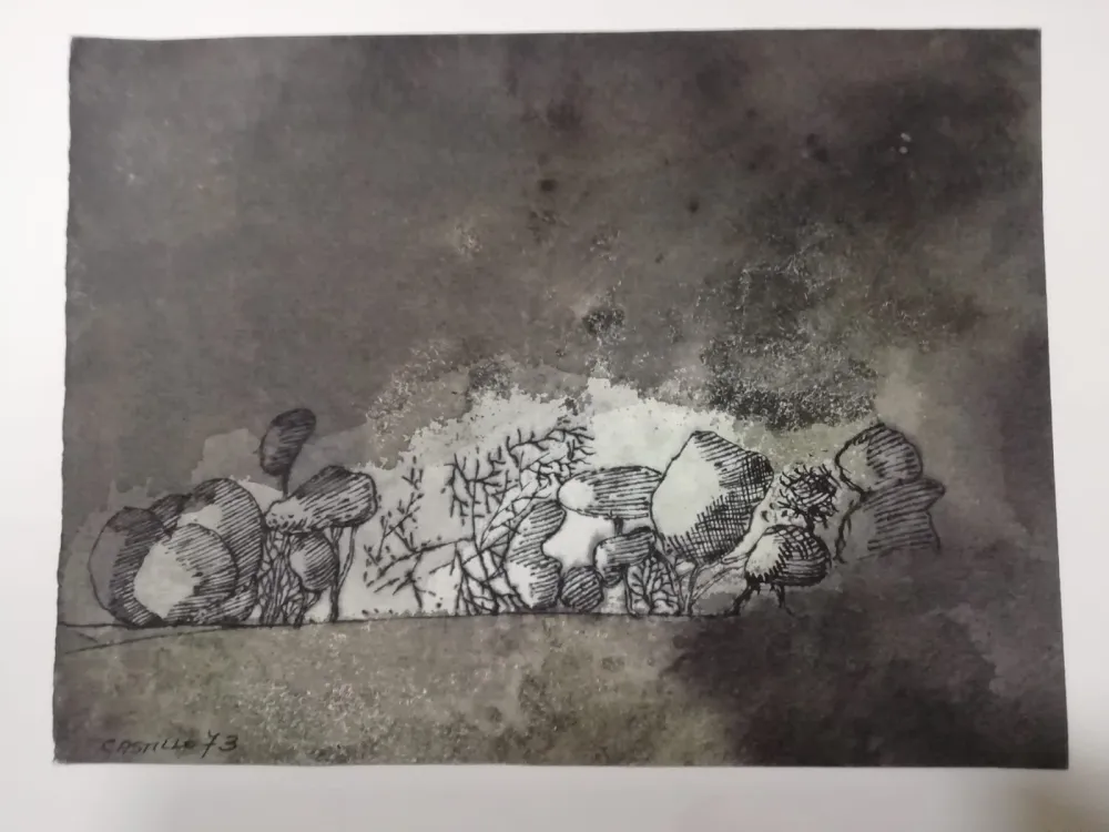 技術的なありません Castillo - Vista de Grünewald