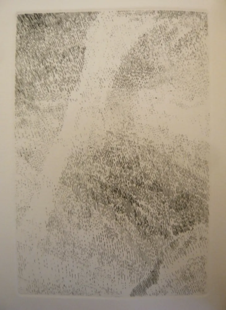 挿絵入り本 Celan Lestrange - Protocole