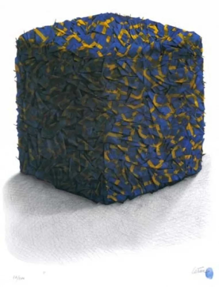 シルクスクリーン Cesar - Portrait comp. drapeaux Suédois