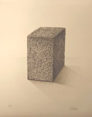 リトグラフ Cesar - ' Portrait de Compression '