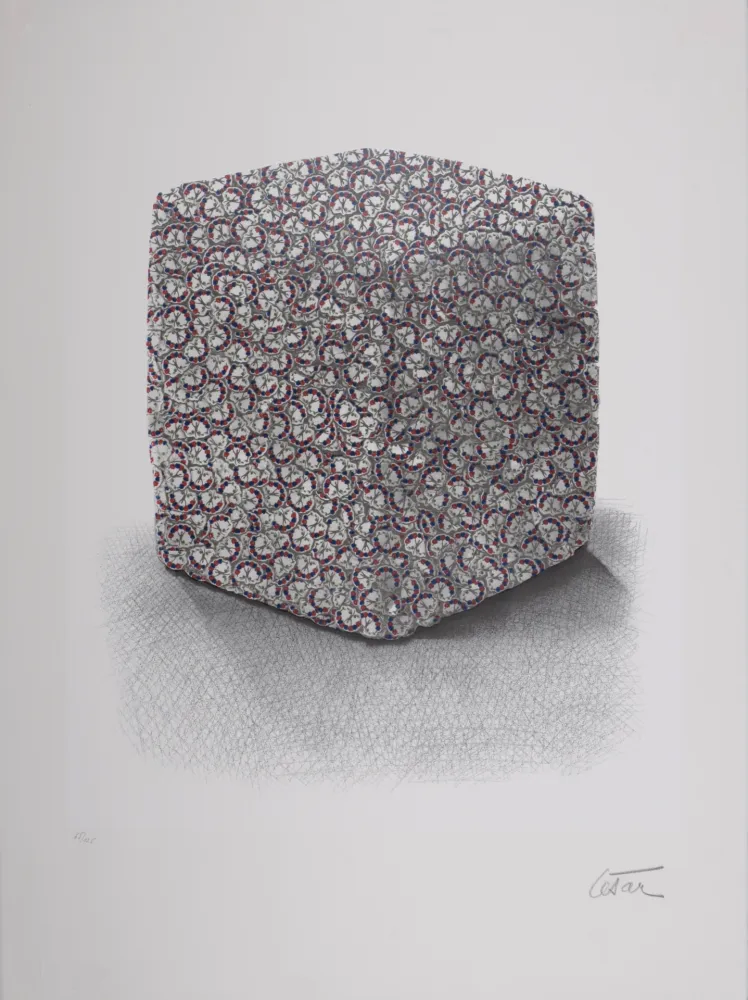 シルクスクリーン Cesar - Portrait de Compression, C. 1980-1985