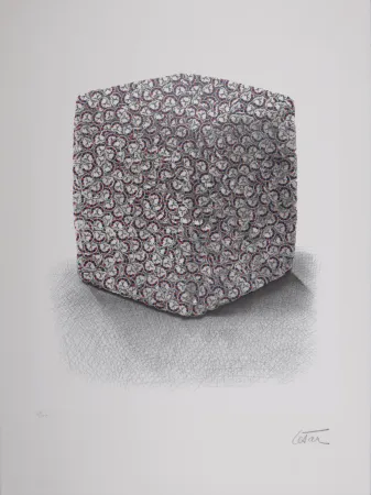 シルクスクリーン Cesar - Portrait de Compression, C. 1980-1985