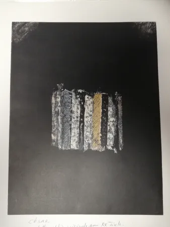 リトグラフ Cesar - Sans titre
