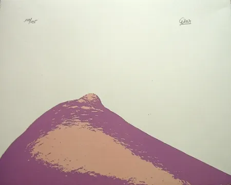 リトグラフ Cesar - Senza titolo,