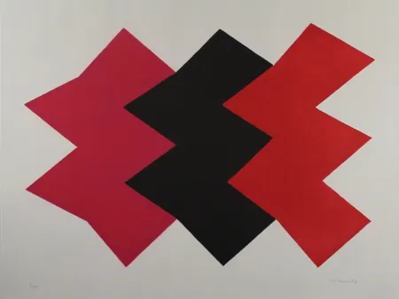 アクチアント Chancho - Montserrat 2