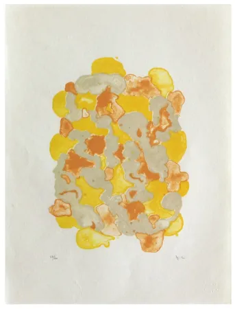 リトグラフ Chaudouët - Lichens 7