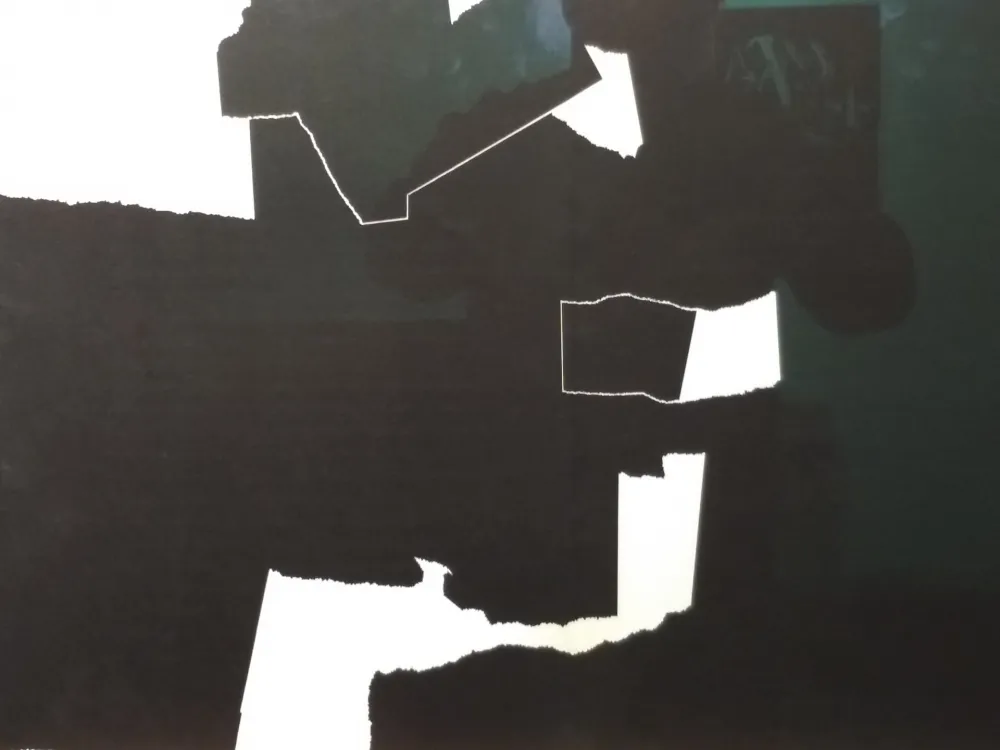 挿絵入り本 Chillida - DLM 124