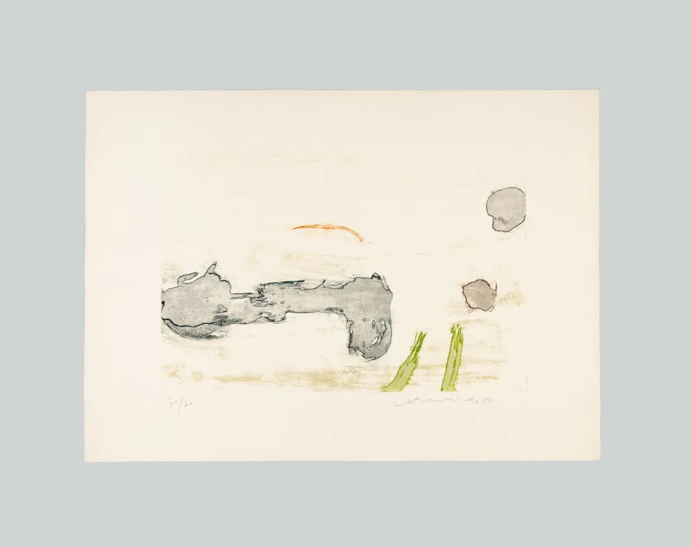 エッチングと　アクチアント Chin - Senza titolo