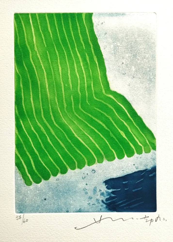 アクチアント Chin - Verso il giardino eterno