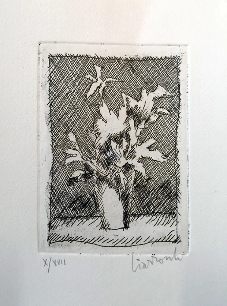 エッチング Ciarrocchi - Fiori