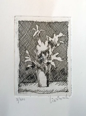 エッチング Ciarrocchi - Fiori