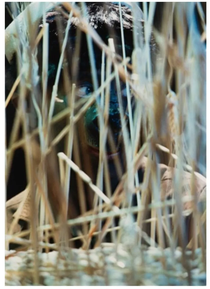 写真 Cindy - Untitled (from The Portfolio for Joseph Beuys)