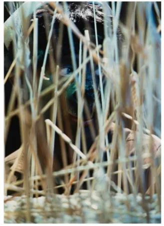 写真 Cindy - Untitled (from The Portfolio for Joseph Beuys)