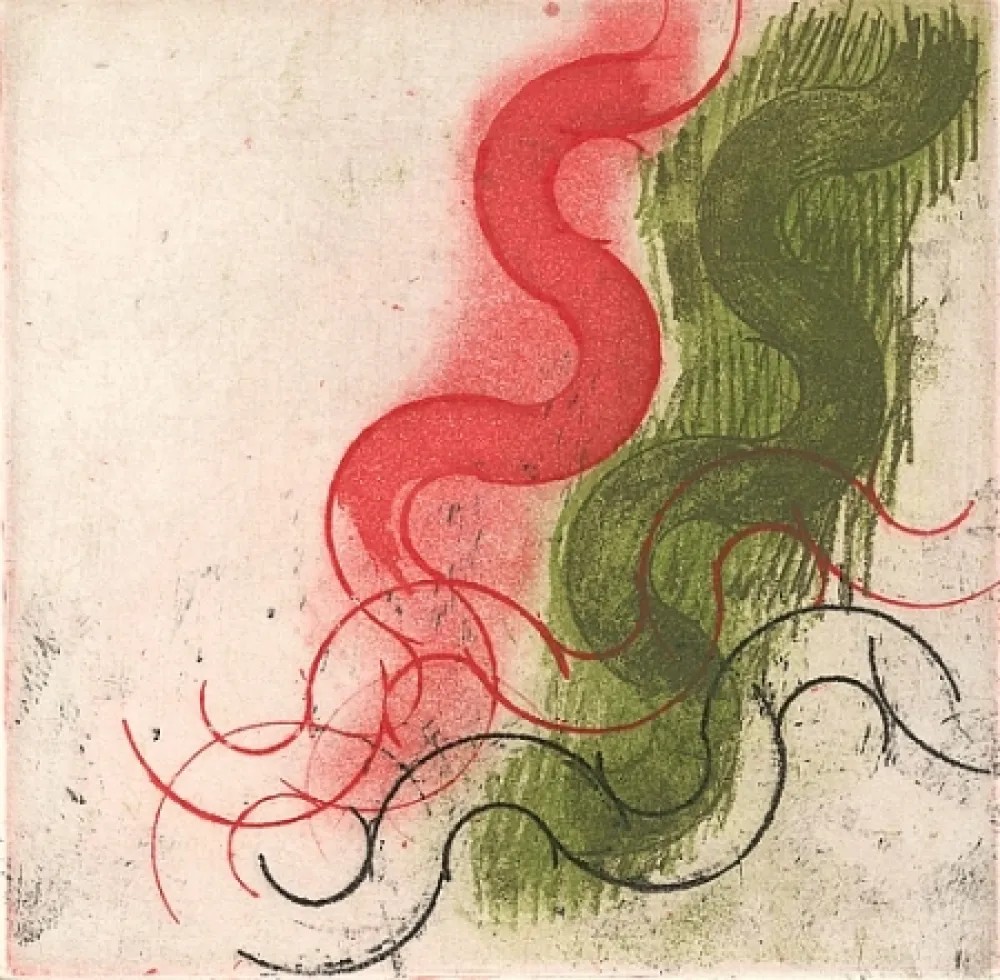 挿絵入り本 Ciussi - Es - fragmenta