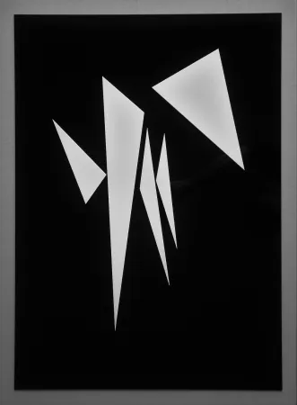 多数の Claisse - Rheita