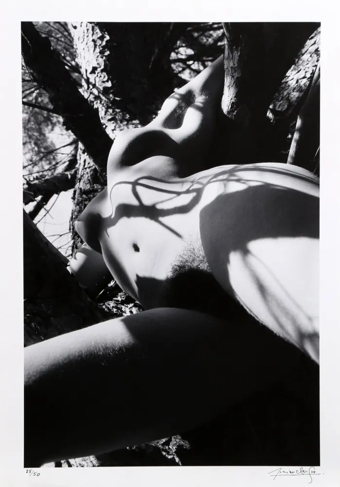 写真 Clergue - Nude No. 10