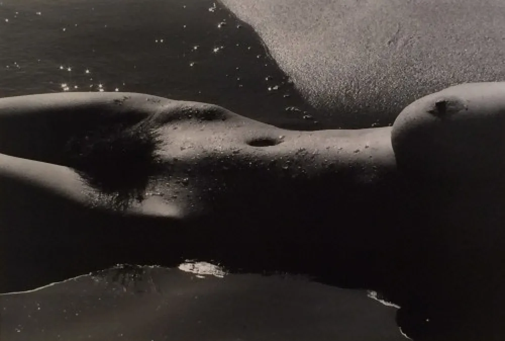 写真 Clergue - Nyu de la Mer Camargue