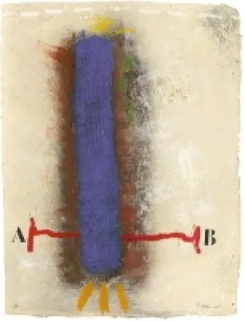 カーボランダム Coignard - 1112 Verticlite Bleue