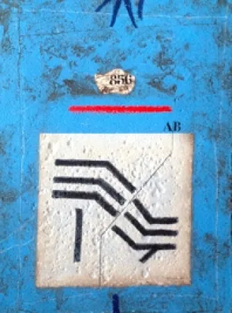 カーボランダム Coignard - Sillon bleu