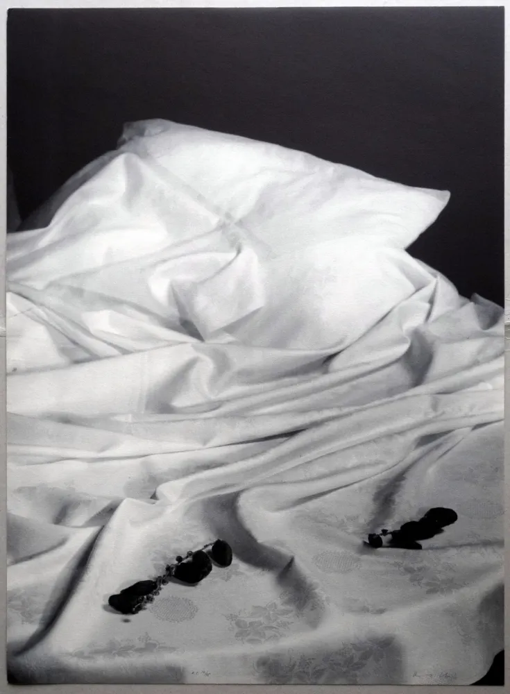 リトグラフ Collins - A.L. Joan Prats - Formigues