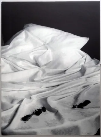 リトグラフ Collins - A.L. Joan Prats - Formigues