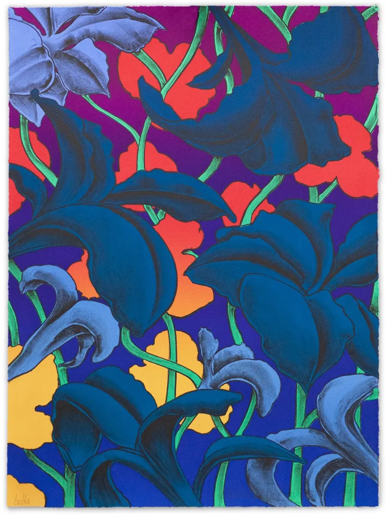 リトグラフ Colombier - Look Up