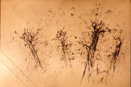 技術的なありません Commère - Chasseur à l'affût