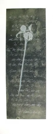 エッチングと　アクチアント Conte - El lenguaje de las flores I