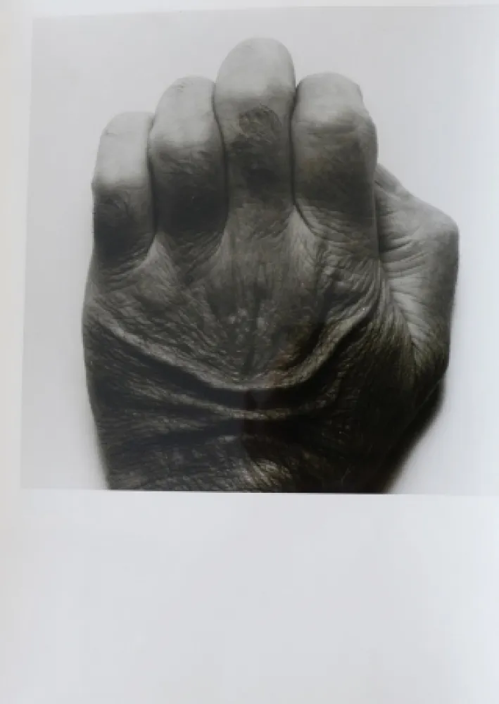 写真 Coplans - Selfportrait back of hand