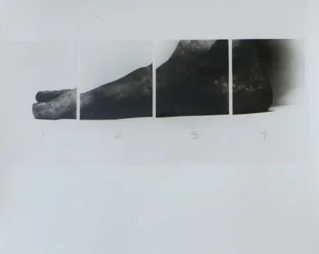 写真 Coplans - Selfportrait feet four panels