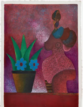 技術的なありません Cora - La Jardinera