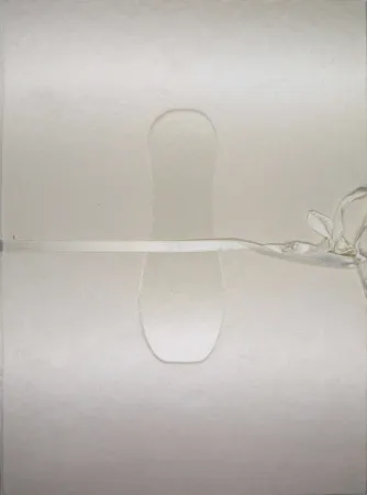 挿絵入り本 Cormenzana - Pas de dansa