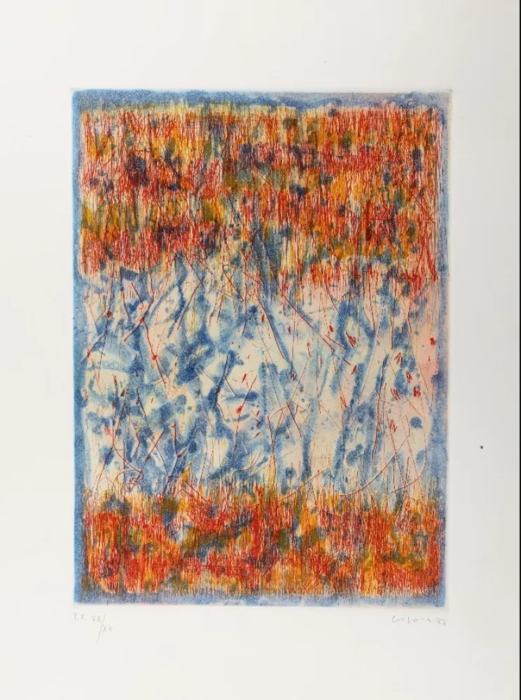 エッチングと　アクチアント Corpora - Omaggio a Mafai