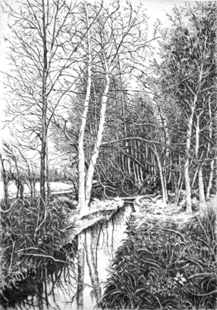 エッチング Cotugno  - Autunno