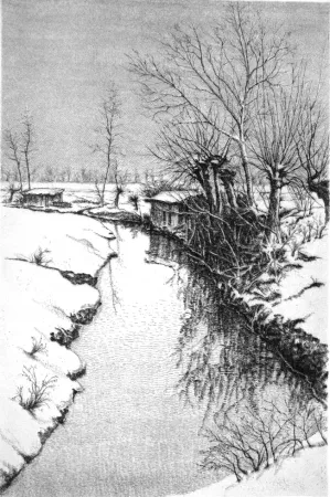 エッチング Cotugno  - Il Sillaro