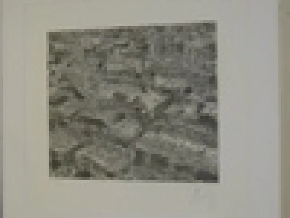 彫版 Cragg - Traffic