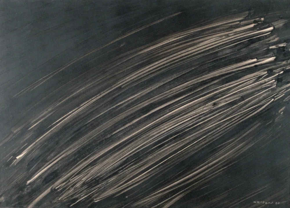 技術的なありません Criton - Technique mixte sur papier marouflée sur toile. 