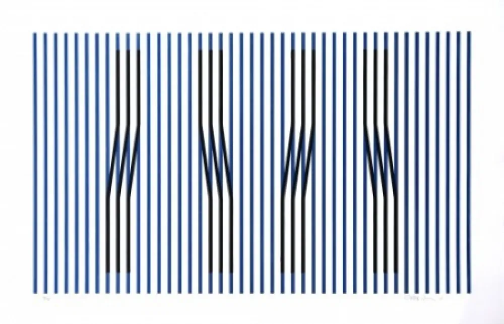 エッチング Cruz-Diez - Induction du Jaune Masnou	