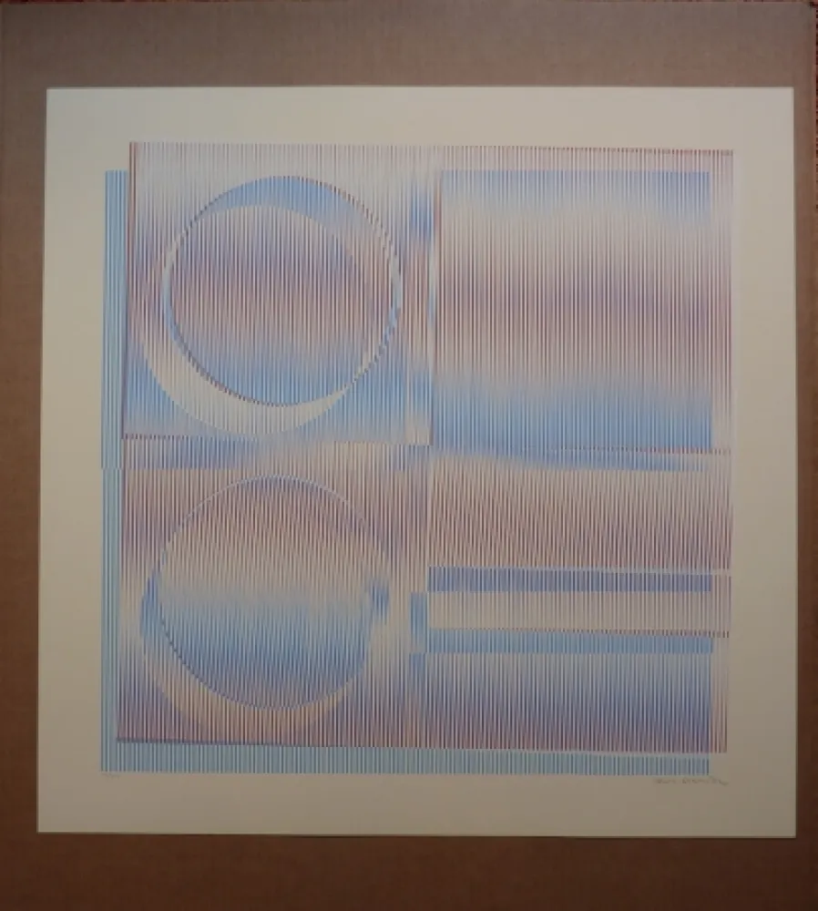 シルクスクリーン Cruz-Diez - Physichromie