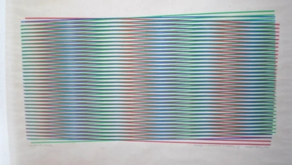 シルクスクリーン Cruz-Diez - Project for an edition