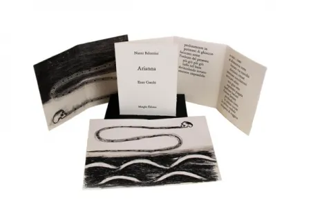 挿絵入り本 Cucchi - Arianna