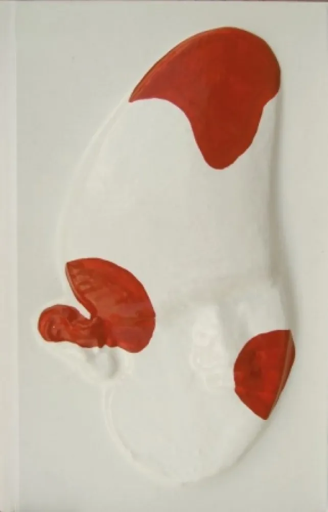 挿絵入り本 Cucchi - La grande scimmia