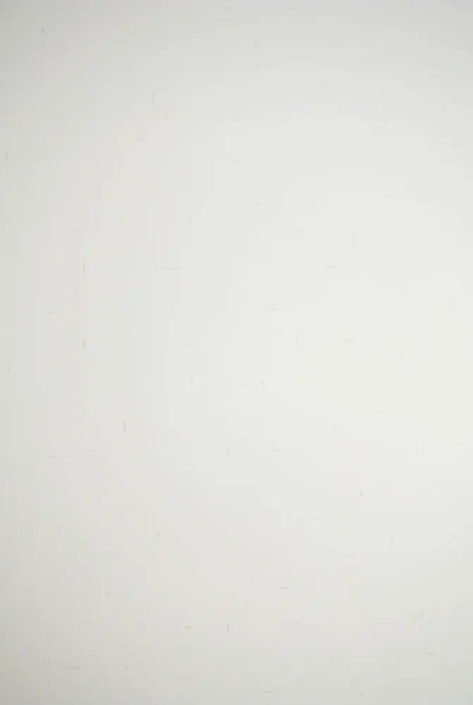 リトグラフ Dadamaino - Senza titolo