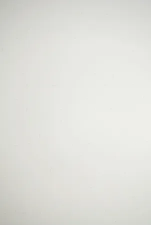 リトグラフ Dadamaino - Senza titolo