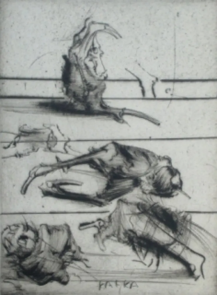 エッチング Dado - Kafka