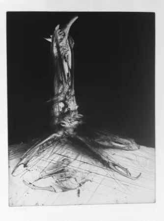 彫版 Dado - Sans titre